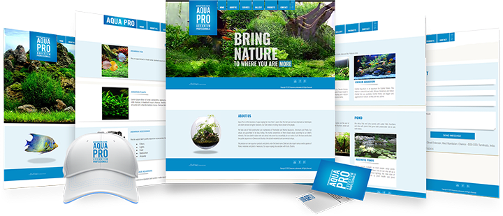 DaVinci Creatives, case-study, Aqua pro