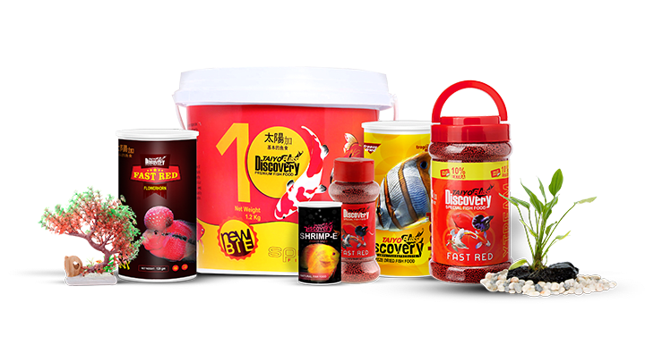 DaVinci Creatives, case-study, taiyo pluss discovery