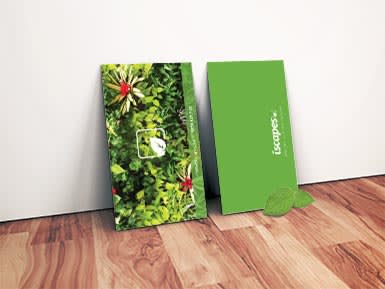 DaVinci Creatives, Iscapes